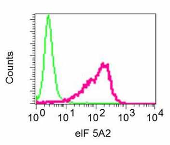 Flow Cytometry (Intracellular) - Anti-eIF5A2 + eIF5A antibody [EPR7411-105] - BSA and Azide free (AB248971), expandable thumbnail