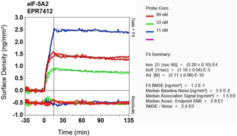 OI-RD Scanning - Anti-eIF5A2 + eIF5A antibody [EPR7412-47] (AB126733)