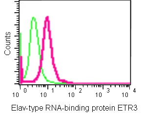 Flow Cytometry (Intracellular) - Anti-Elav-type RNA-binding protein ETR3 antibody [EPR13374-2] (AB186430)