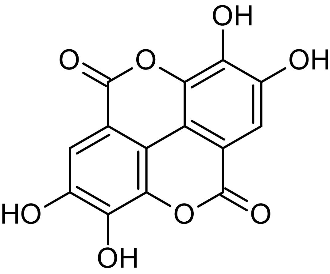 Ellagic acid, casein kinase 2 (CK2) inhibitor