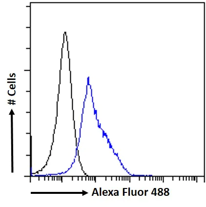Flow Cytometry - Anti-ELMO2 antibody (AB2240)