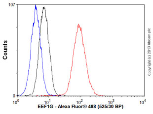 Flow Cytometry (Intracellular) - Anti-Elongation factor 1-gamma antibody [EPR7200] (AB124994), expandable thumbnail