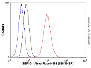 Flow Cytometry (Intracellular) - Anti-Elongation factor 1-gamma antibody [EPR7200] - BSA and Azide free (AB248088)