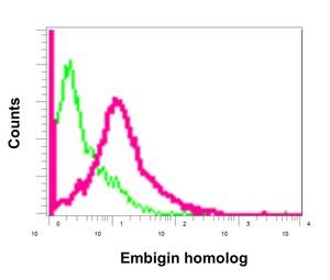 Flow Cytometry - Anti-Embigin homolog antibody [EPR11417] (AB179801)