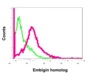 Flow Cytometry - Anti-Embigin homolog antibody [EPR11417] - BSA and Azide free (AB250110)