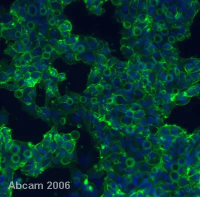 A1294-4/A-1294-5/A-1294-6まとめて A1294-4/A-1294-5/A-1294-6まとめて LIXIL・INAX 水石けん入れ容器