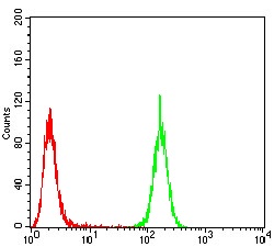 Flow Cytometry - Anti-Emerin antibody [8F5A8] (AB204987)