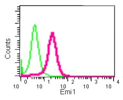 Flow Cytometry (Intracellular) - Anti-Emi1 antibody [EPR15320] - BSA and Azide free (AB250788)