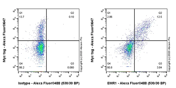 Flow Cytometry - Anti-EMR1/ADGRE1 (F4/80) antibody [EPR23225-94] - BSA and Azide free (AB270798)
