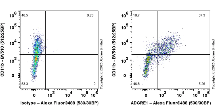 Flow Cytometry - Anti-EMR1/ADGRE1 (F4/80) antibody [RM1302] (AB323648)