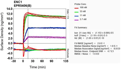 OI-RD Scanning - Anti-ENC1 antibody [EPR5406(B)] (AB124902)
