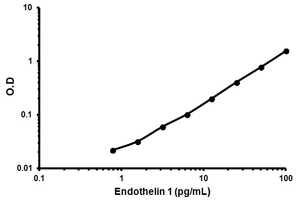 Sandwich ELISA - Endothelin 1 ELISA Kit (AB133030)