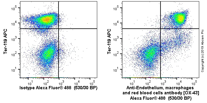 Flow Cytometry - Anti-Endothelium, macrophages and red blood cells antibody [OX-43] (AB243850)