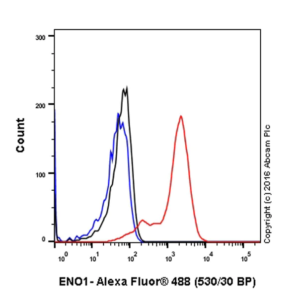 Flow Cytometry (Intracellular) - Anti-ENO1 + ENO2 + ENO3 antibody [EPR10863(B)] (AB155102)