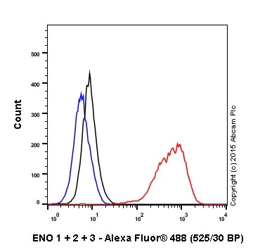 Flow Cytometry (Intracellular) - Anti-ENO1 + ENO2 + ENO3 antibody [EPR18407] - BSA and Azide free (AB250997)