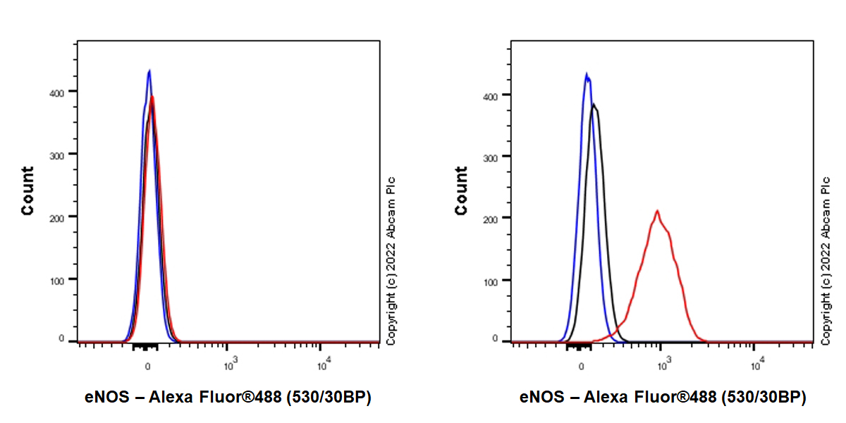 Flow Cytometry (Intracellular) - Anti-eNOS antibody [EPR26335-79] (AB300071), expandable thumbnail