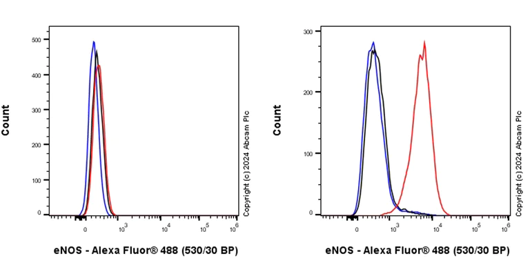 Flow Cytometry (Intracellular) - Anti-eNOS antibody [RM1181] (AB317582)