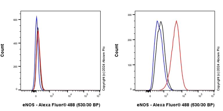Flow Cytometry (Intracellular) - Anti-eNOS antibody [RM1181] - BSA and Azide free (AB317583)