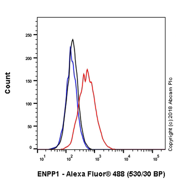 Flow Cytometry - Anti-ENPP1/PC1 antibody [EPR22262-75] (AB240653)
