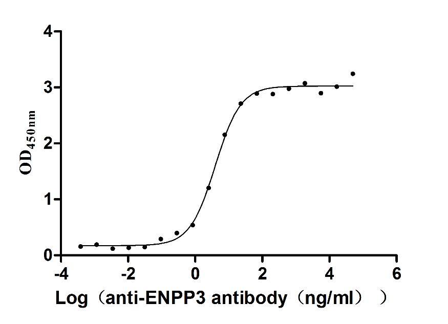 Functional Studies - Anti-ENPP3/B10 antibody [3B2] - Human IgG1 (Chimeric) (AB314041), expandable thumbnail