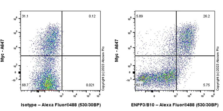 Flow Cytometry - Anti-ENPP3/B10 antibody [EPR27349-72] (AB308453)