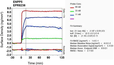 OI-RD Scanning - Anti-ENPP5 antibody [EPR8236] (AB137014)