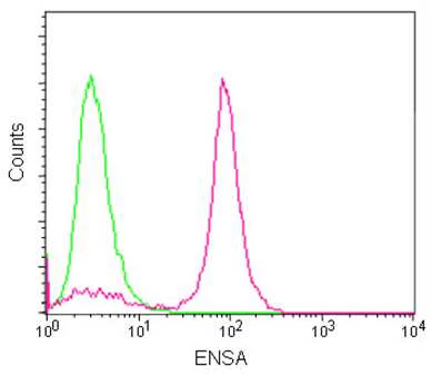 Flow Cytometry (Intracellular) - Anti-ENSA antibody [EPR8008(2)] - BSA and Azide free (AB238993)