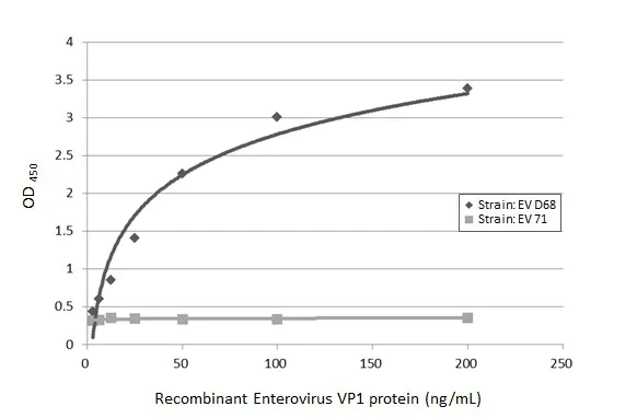 Sandwich ELISA - Anti-Enterovirus D68 VP1 antibody [GT1843] - BSA and Azide free (AB308408)
