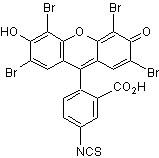 Eosin 5-isothiocyanate