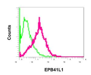 Flow Cytometry (Intracellular) - Anti-EPB41L1 antibody [EPR11090] - BSA and Azide free (AB250096)