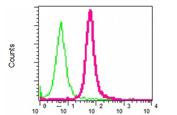 Flow Cytometry (Intracellular) - Anti-EPF antibody [EPR4475] (AB108611)