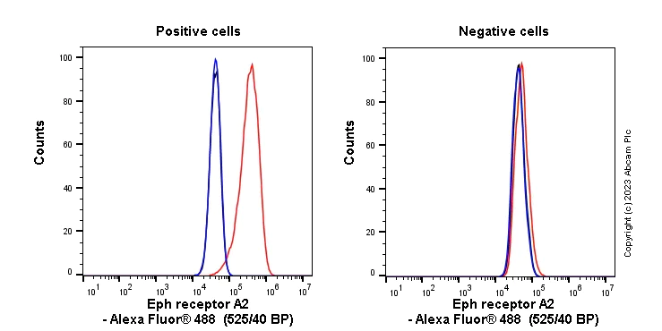 Flow Cytometry - Anti-Eph receptor A2 antibody [EPR17660-120] (AB185156)