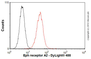 Flow Cytometry - Anti-Eph receptor A2 antibody [RM-0051-8F21] (AB73254)