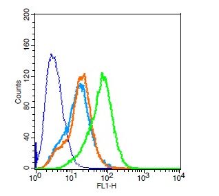 Flow Cytometry - Anti-Eph receptor A3 antibody (AB217799)