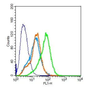 Flow Cytometry - Anti-Eph receptor A3 antibody (AB217799)