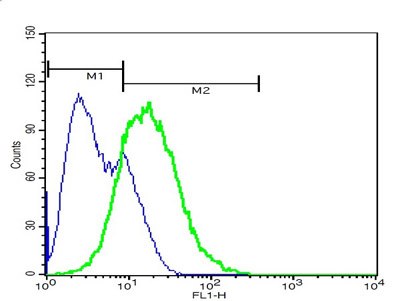 Flow Cytometry - Anti-Eph receptor A7/EPHA7 antibody (AB204113), expandable thumbnail