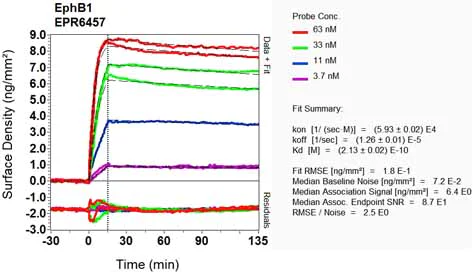 OI-RD Scanning - Anti-Eph receptor B1/NET antibody [EPR6457] (AB129103)