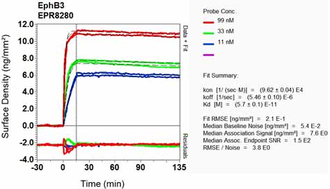 OI-RD Scanning - Anti-Eph receptor B3 antibody [EPR8280] (AB133742), expandable thumbnail