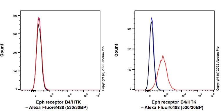 Flow Cytometry - Anti-Eph receptor B4/HTK antibody [EPR23222-2] - BSA and Azide free (AB305071)