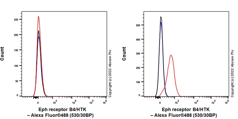 Flow Cytometry - Anti-Eph receptor B4/HTK antibody [EPR23222-2] - BSA and Azide free (AB305071)