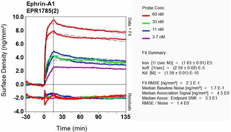 OI-RD Scanning - Anti-Ephrin A1 antibody [EPR1785(2)] (AB124911), expandable thumbnail