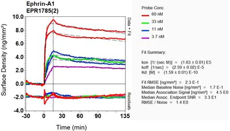 OI-RD Scanning - Anti-Ephrin A1 antibody [EPR1785(2)] - BSA and Azide free (AB248056)