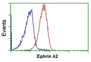 Flow Cytometry (Intracellular) - Anti-Ephrin A2 antibody [OTI3E3] (AB123877)