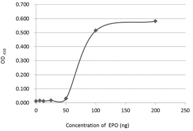 ELISA - Anti-EPO antibody (AB226956)