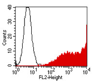 Flow Cytometry - Anti-EPO-R antibody [VP2E8] (AB180791)