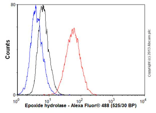 Flow Cytometry - Anti-Epoxide hydrolase antibody [15B2AD9] (AB110307)