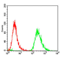 Flow Cytometry - Anti-Epsin 1 antibody [6F7F9] (AB204952)