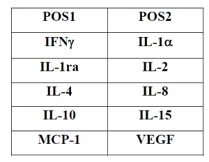 Multiplex Protein Detection - Equine Cytokine Antibody Array (10 Targets) - Quantitative (AB197413)