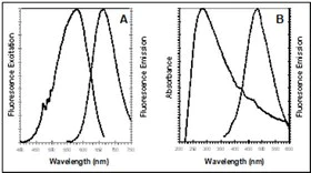 Fluorescence Microscopy - ER Staining Kit - Red Fluorescence - Cytopainter (AB139482)
