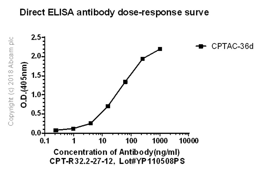 ELISA - Anti-ErbB2 / HER2 antibody [CPT-R32.2-27-12] - BSA and Azide free (AB245120), expandable thumbnail